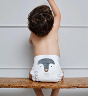 Fralda Ecológica Subscrição