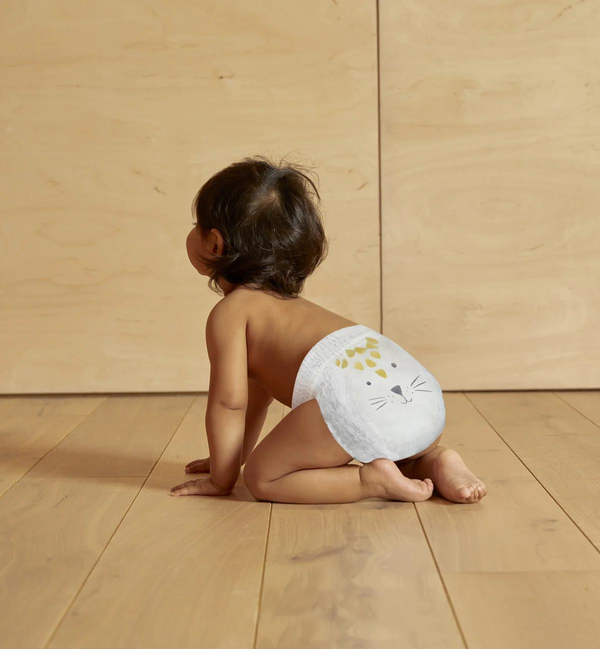 Fralda Cueca Subscrição